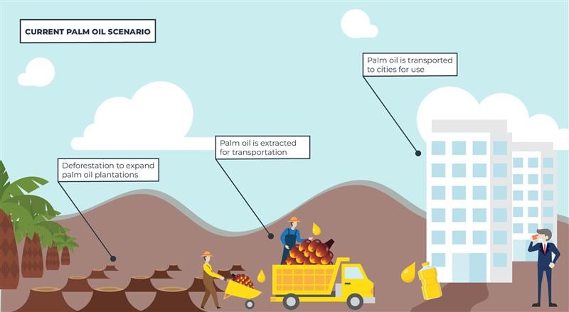 Diagram showing oil production
