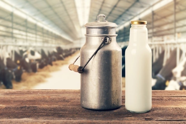 Drug-filled dairy? India’s safety claims under fire again as report reveals ‘indiscriminate’ antibiotic misuse