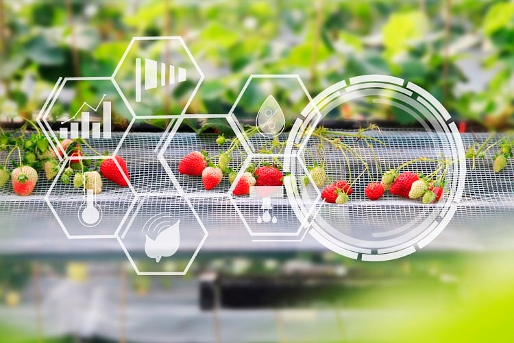 Food-and-beverage-innovations-revealed-at-Climate-Smart-Food.jpg
