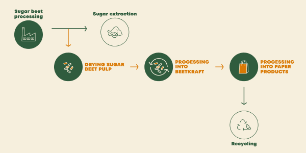 how Beetkraft is produced