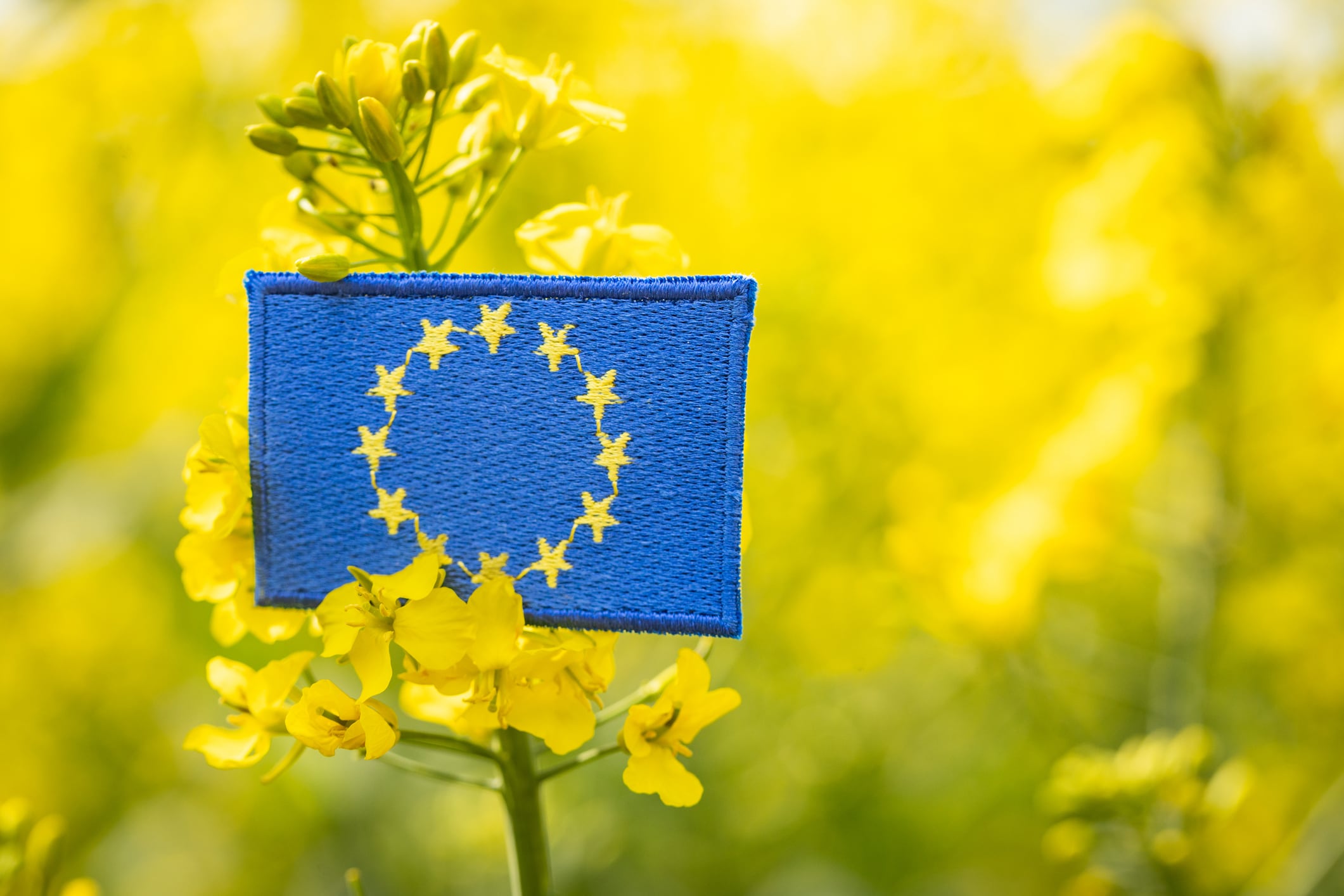 The EU is primed to boost biotech 