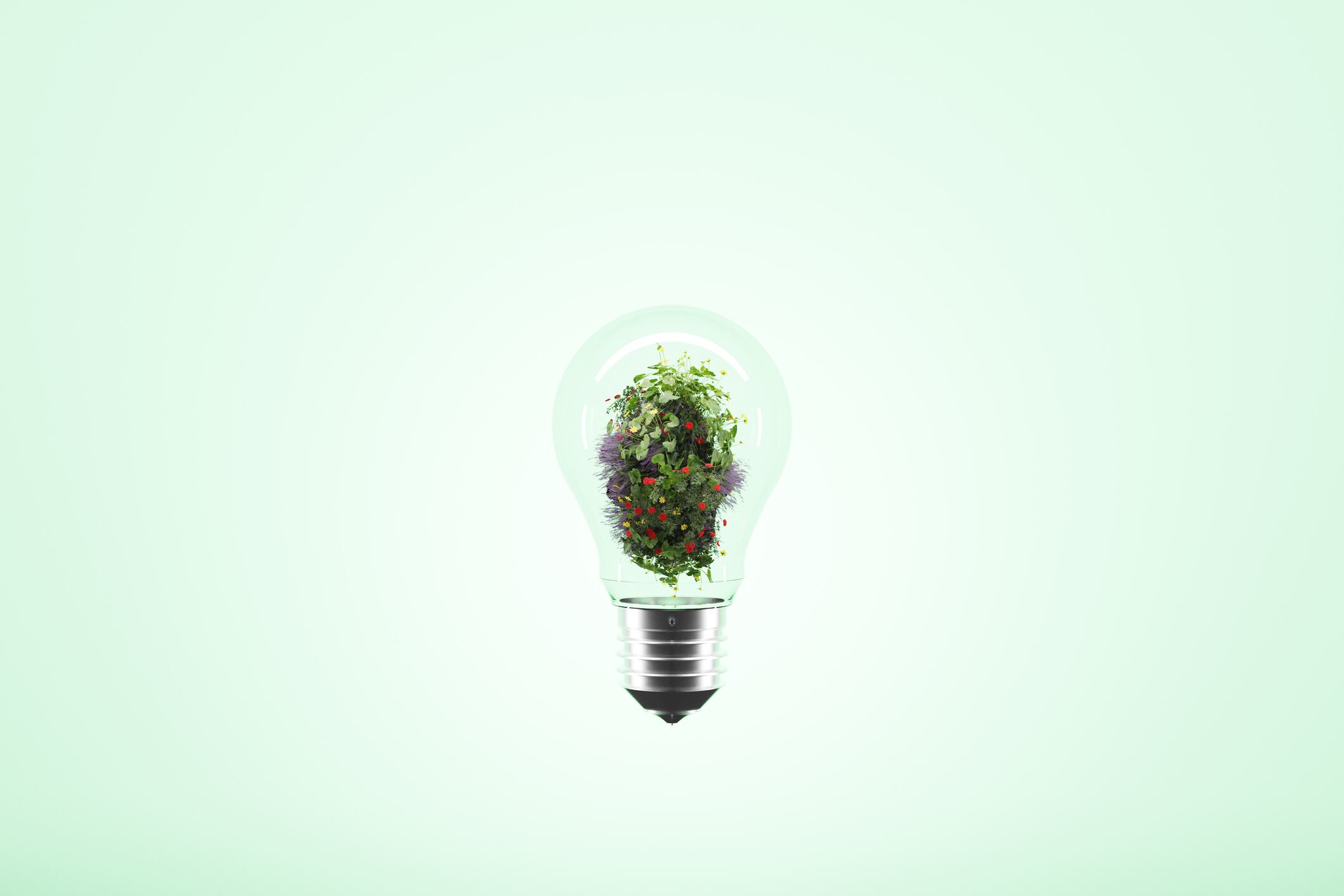 Food safety vs sustainability: Will industry have to choose?