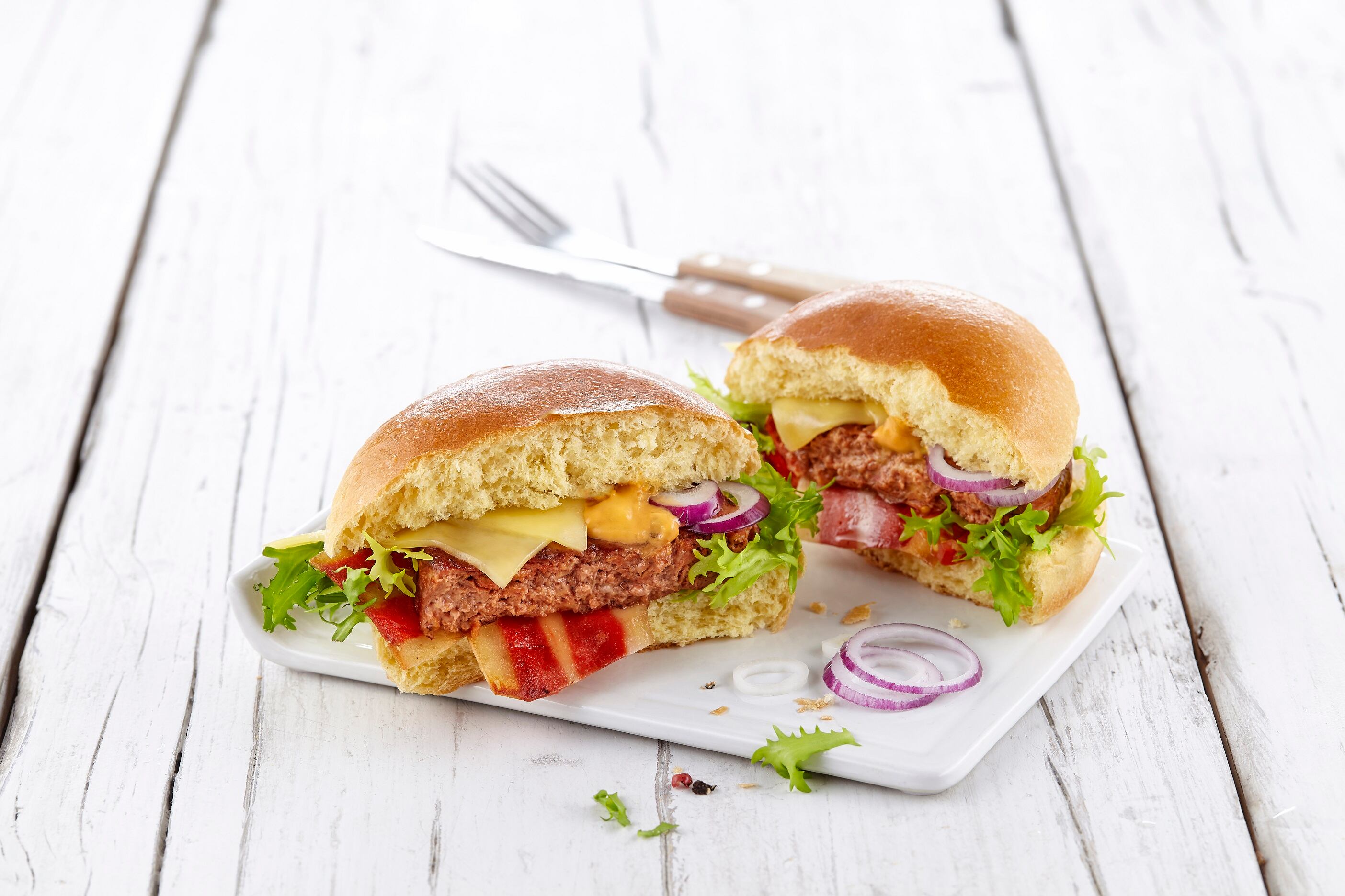 Hydrosol opens Competence Centre as plant-based alternatives to meat go mainstream