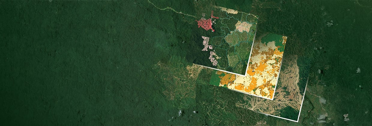 Satellite technology to overcome agricultural supply chain challenges