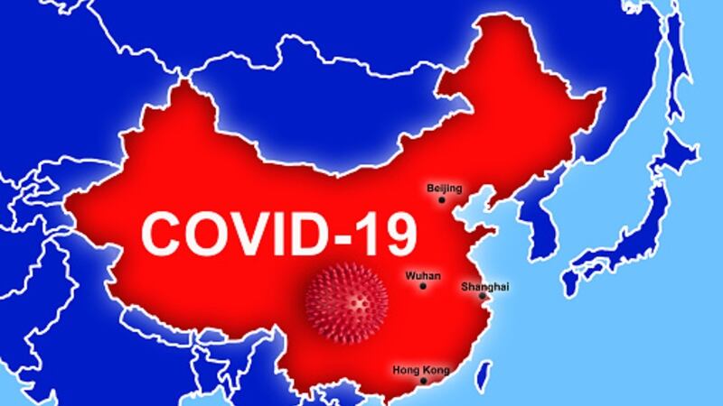 COVID-19 food inspections: China looks to virtual food import ‘spot checks’ and tightened cold chain guidelines