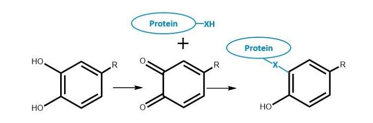 Figure-2-FoodNavigator.jpg