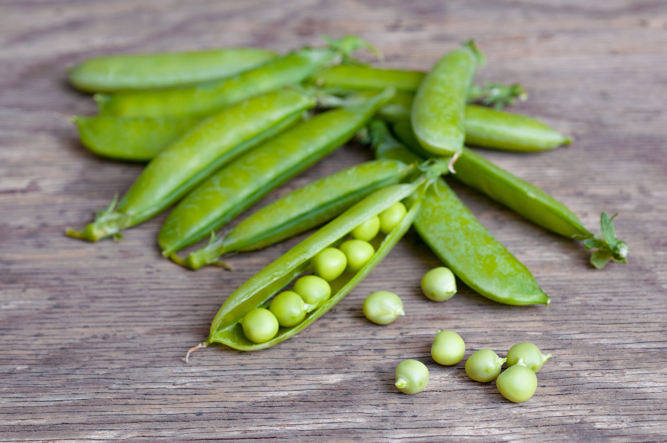 Roquette breaks 60% protein barrier with pea isolate crisps