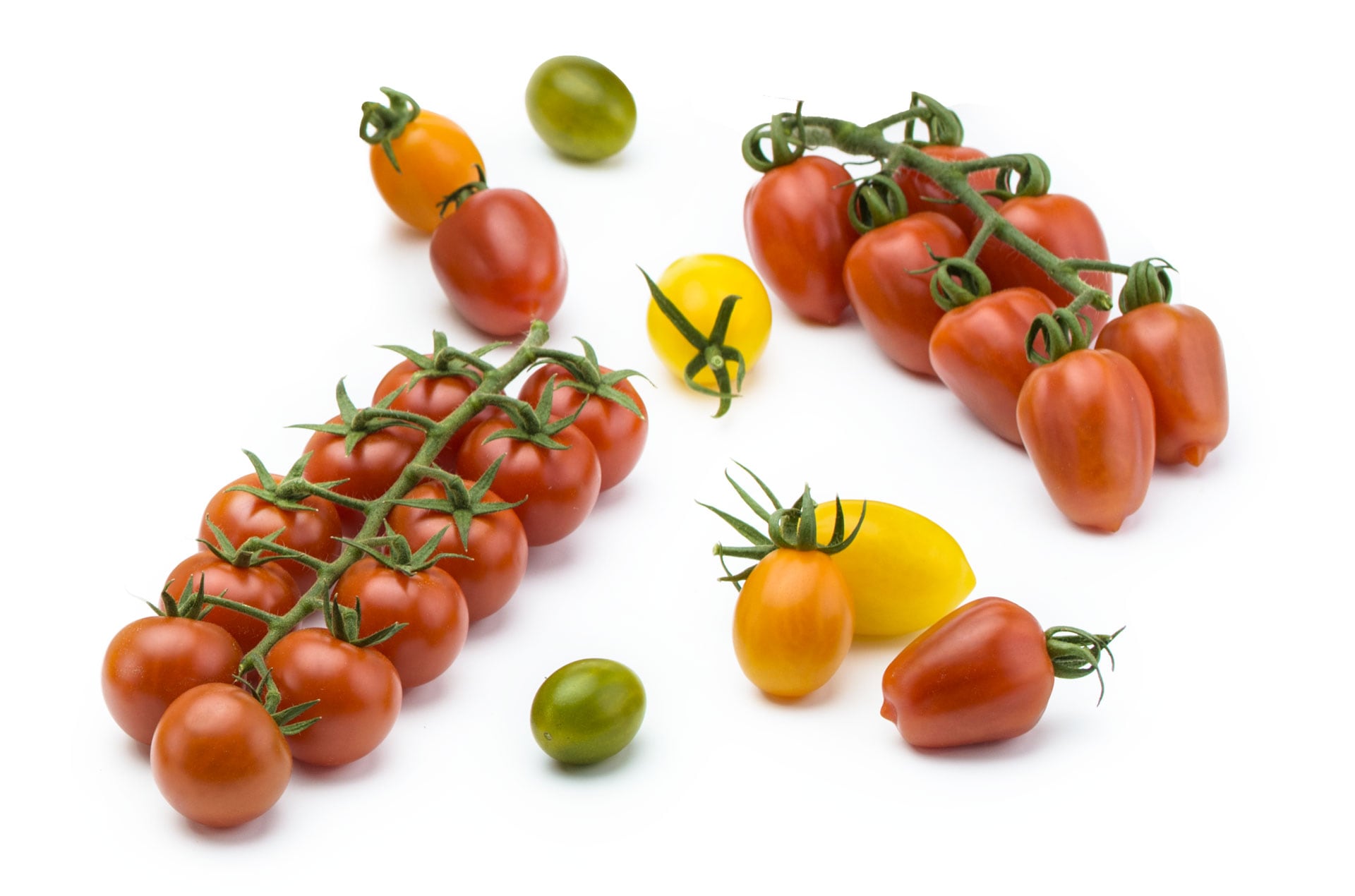 ‘We want to sell vegetables that people love to eat, and farmers like to grow’: Seed grower Harmoniz on the importance of innovation during every stage of the supply chain
