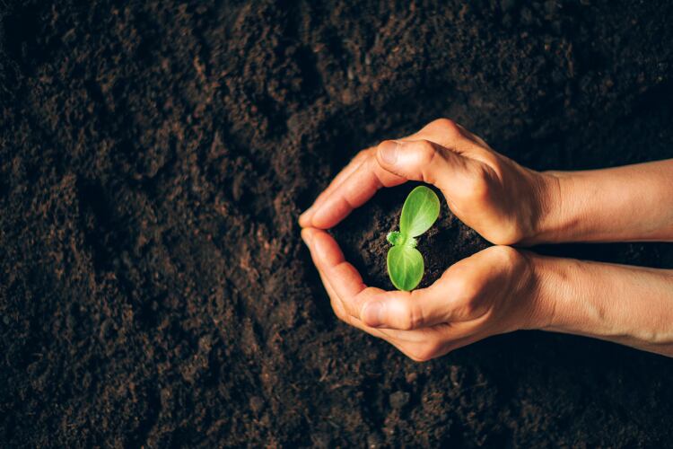 How Nestlé is supporting regenerative agriculture: ‘We need to source in the right way’