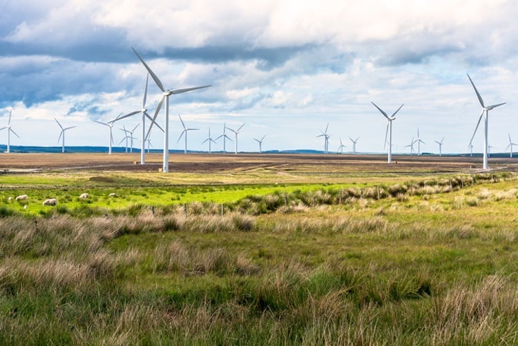 Kellogg ramps up efforts to achieve 100% renewable energy target