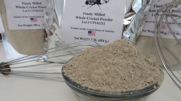 All-Things-Bugs-cricket-flour.jpg