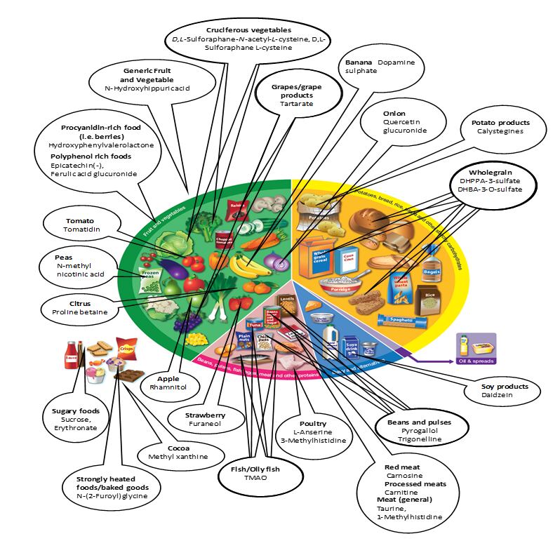 Biomarkers-of-diet-AU.png