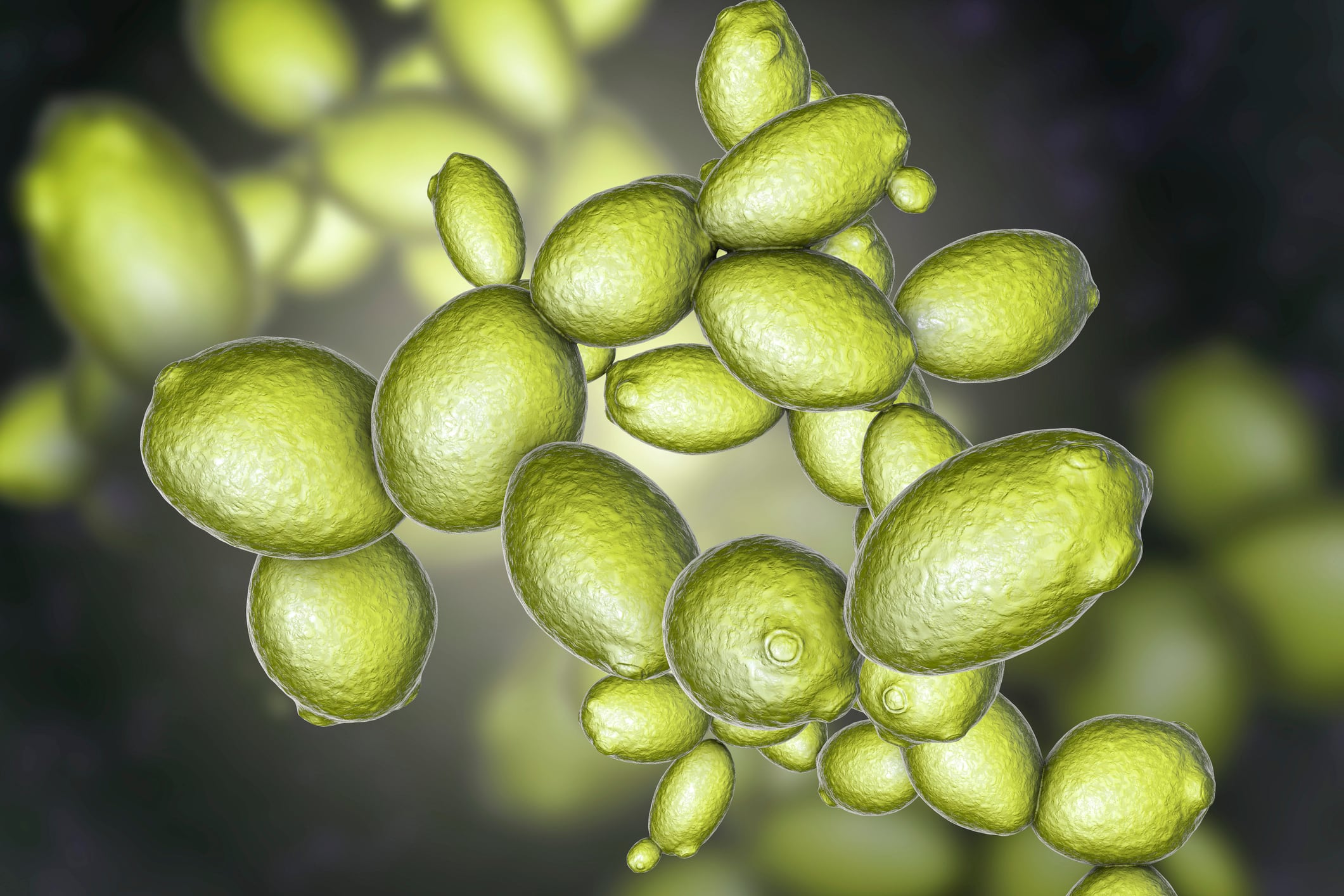 Fermenting brewers’ spent yeast into protein: ‘It’s the tastiest vegan protein in the world’