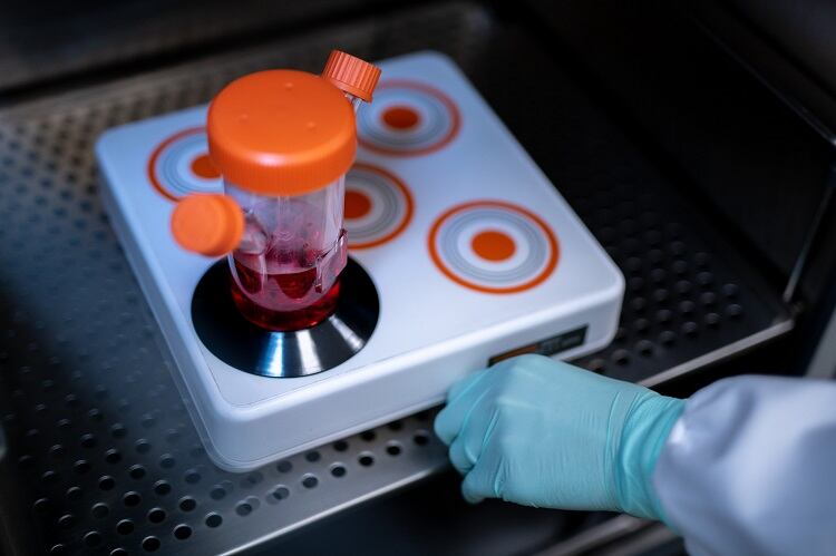 Extracellular-Lab-shoot-September-15-2022-3718.jpg