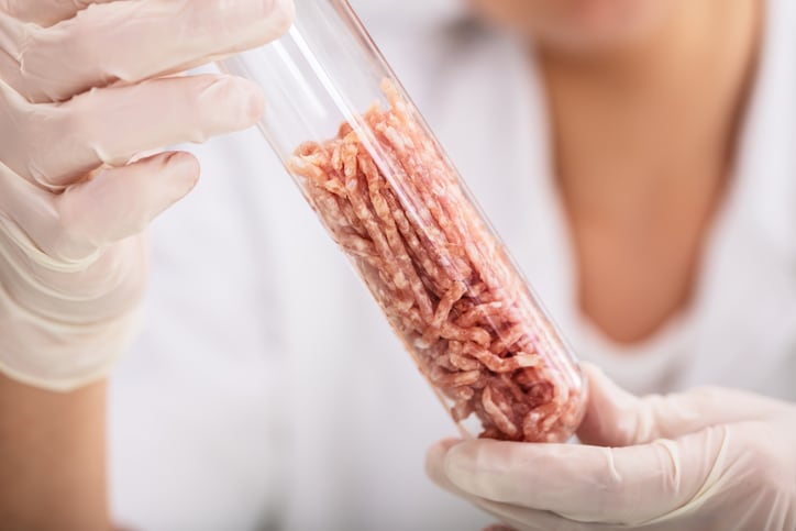 Lab-grown meat startups target the pet food sector