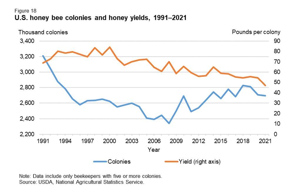 Hiney-bee-colonies-and-yields.jpg