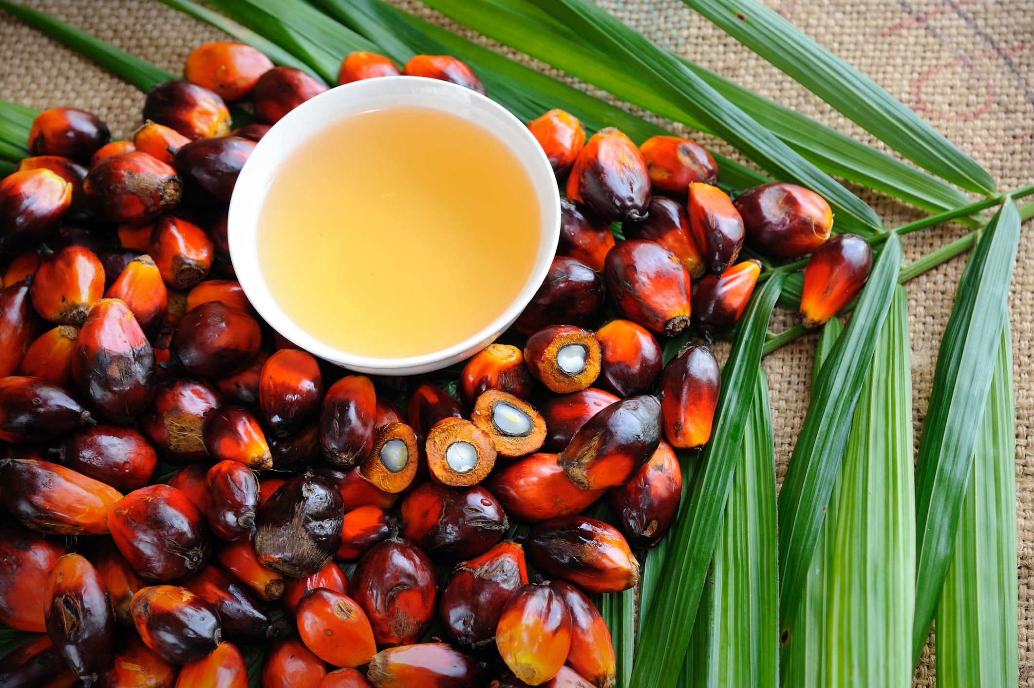 Are new RSPO criteria too little too late?