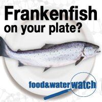 frankenfish-foodandwaterwatch.jpg
