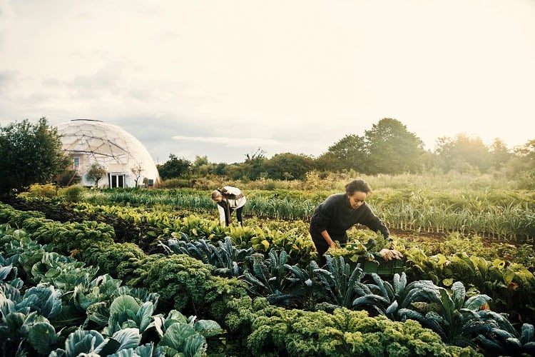 The-changing-skills-of-farmers-in-regenerative-agriculture.jpg