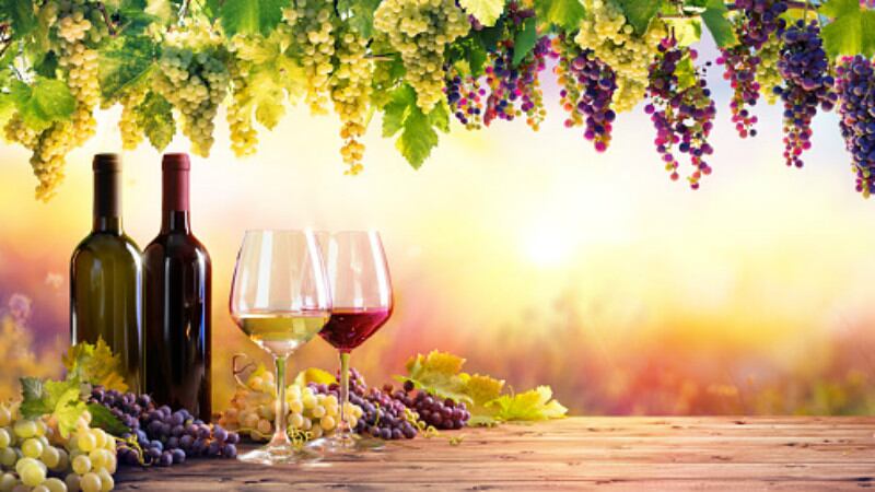 Foreign wines continue to be a booming business in China as domestic brands battle to fight back