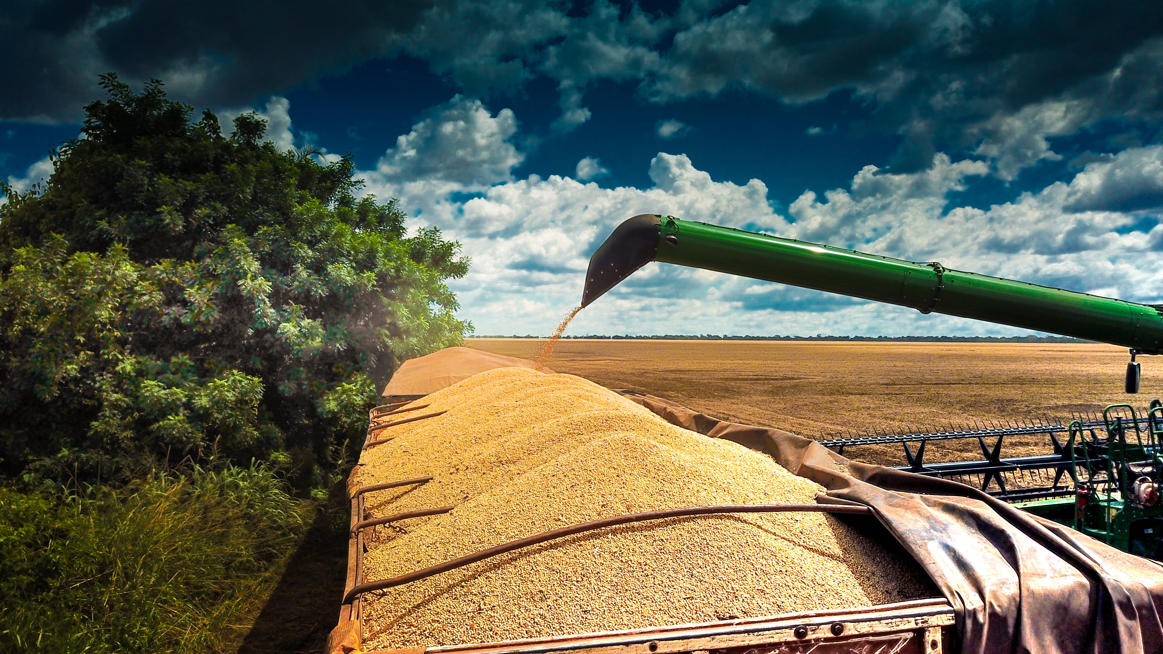Agricultural harvester machine harvesting soybeans. Lucas do Rio Verde, Mato Grosso, Brazil.