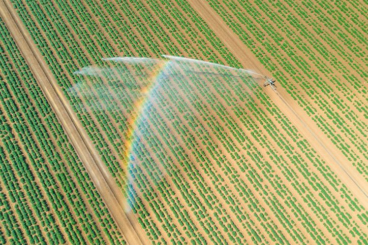 EU consumers increasingly exposed to ‘forever chemicals’ in fruit and vegetables, study warns