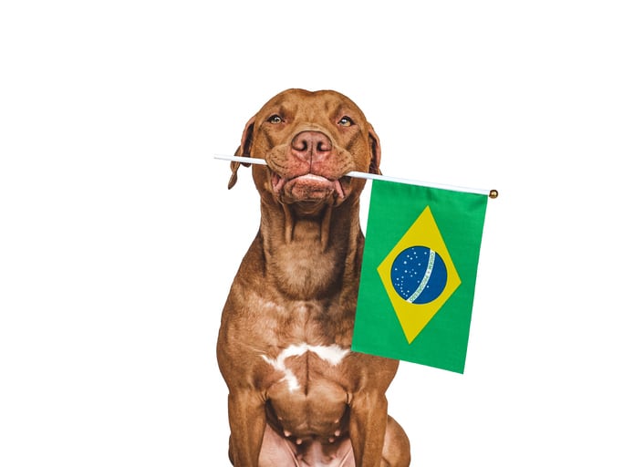 Spotlight on Brazil: Pet owners prioritize health despite challenging economics