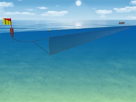 driftnet.jpg