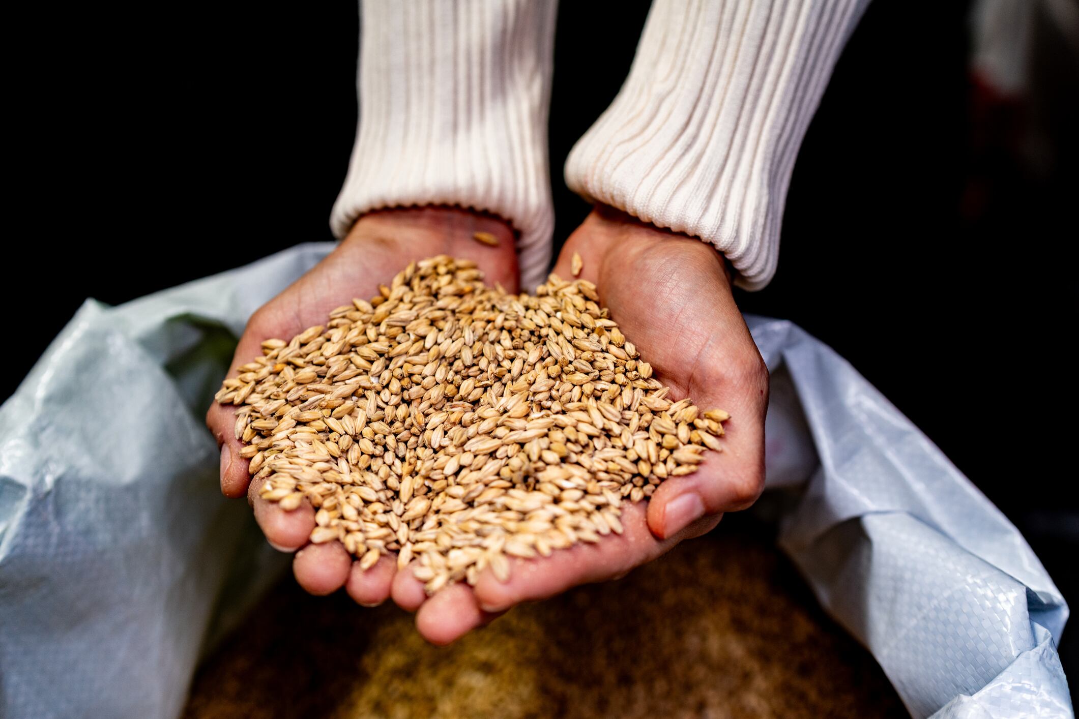 Farming for function: Edacious and ROA put nutrition under the microscope
