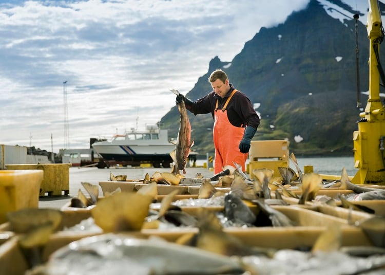 From-3D-printing-to-ingredient-development-Icelandic-innovators-taking-waste-out-of-the-blue-economy.jpg