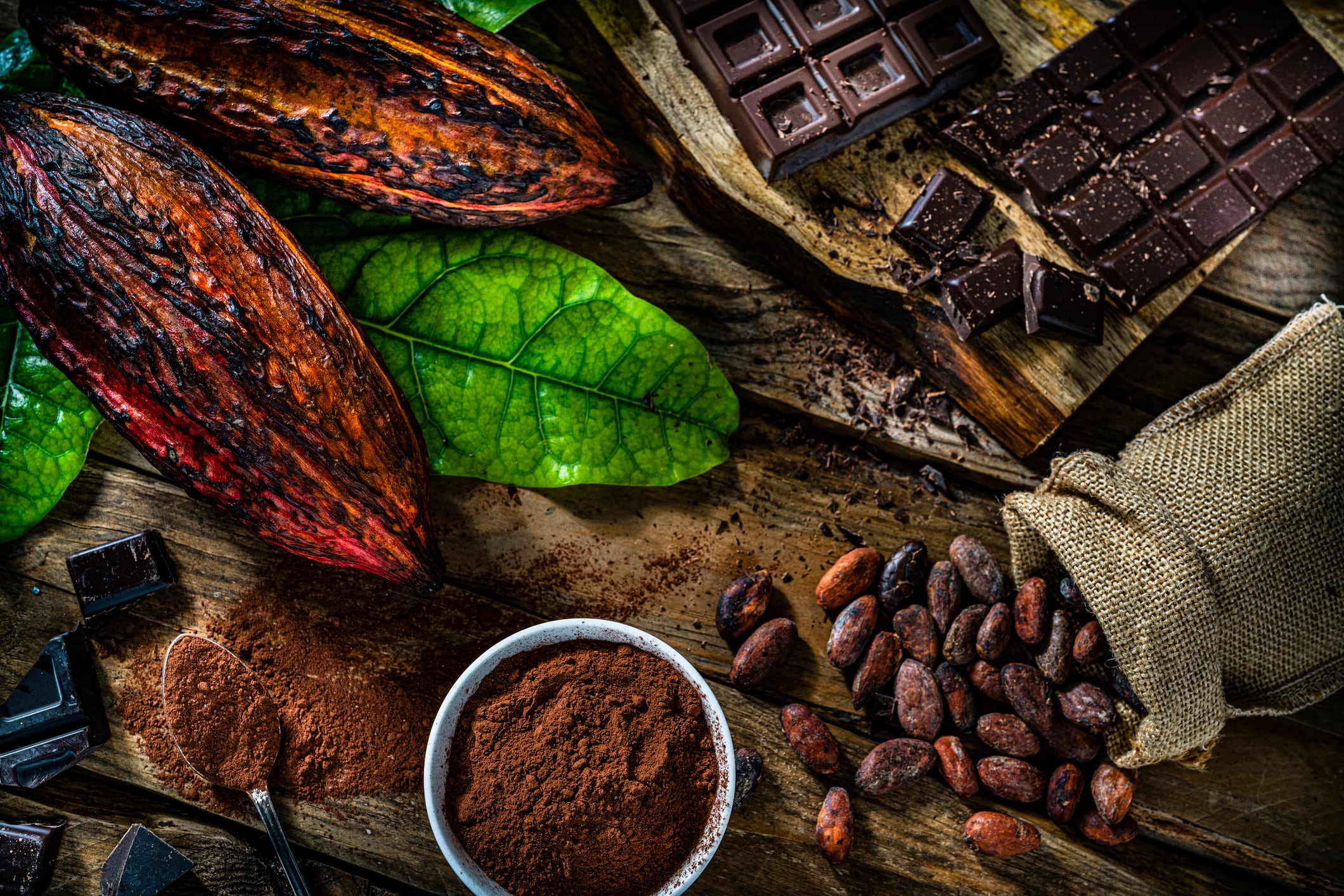 Overhead view of organic cocoa pods, cocoa beans cocoa powder shot on rustic wooden table.