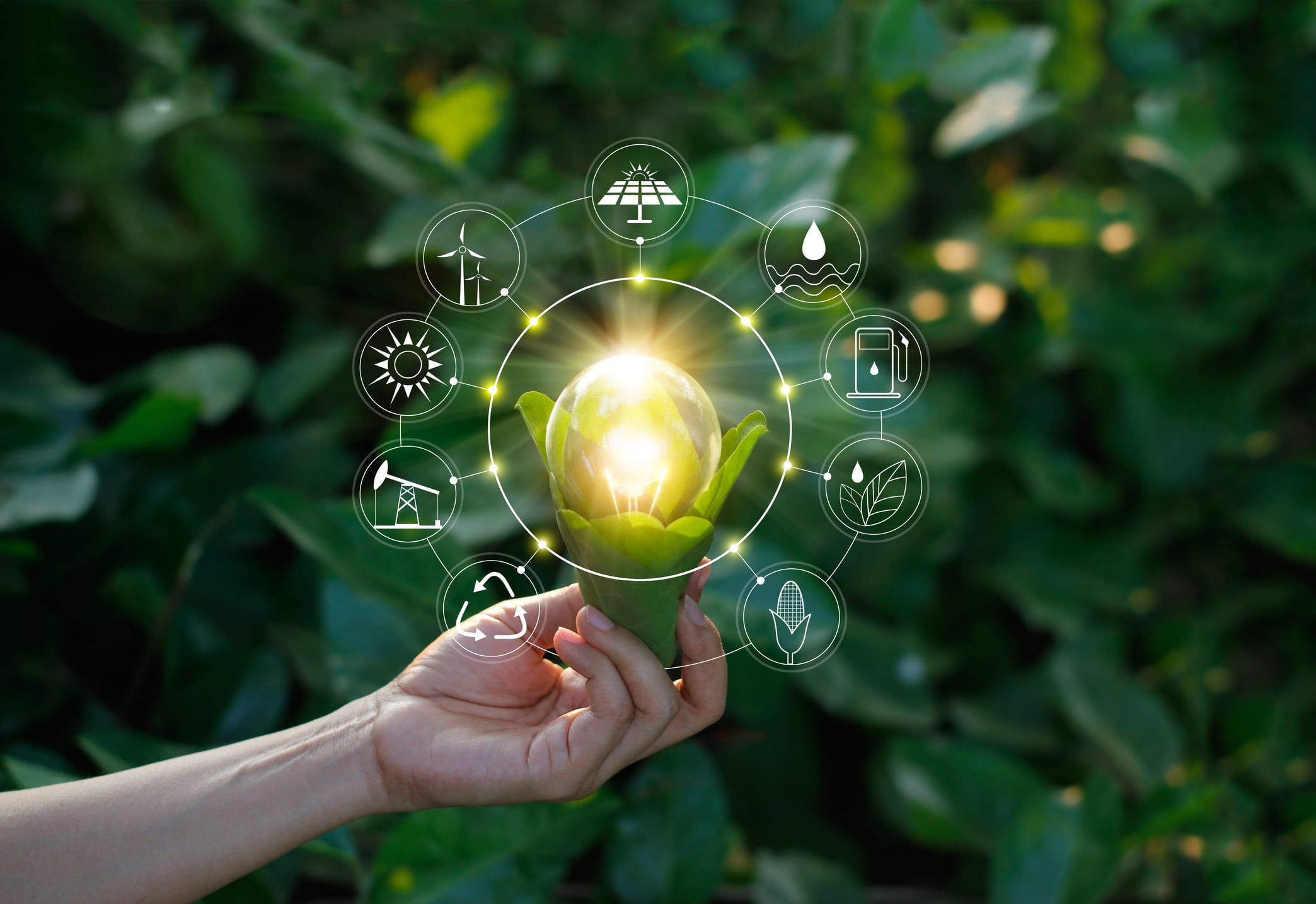 How can the beverage industry bring about a sea change in sustainability?