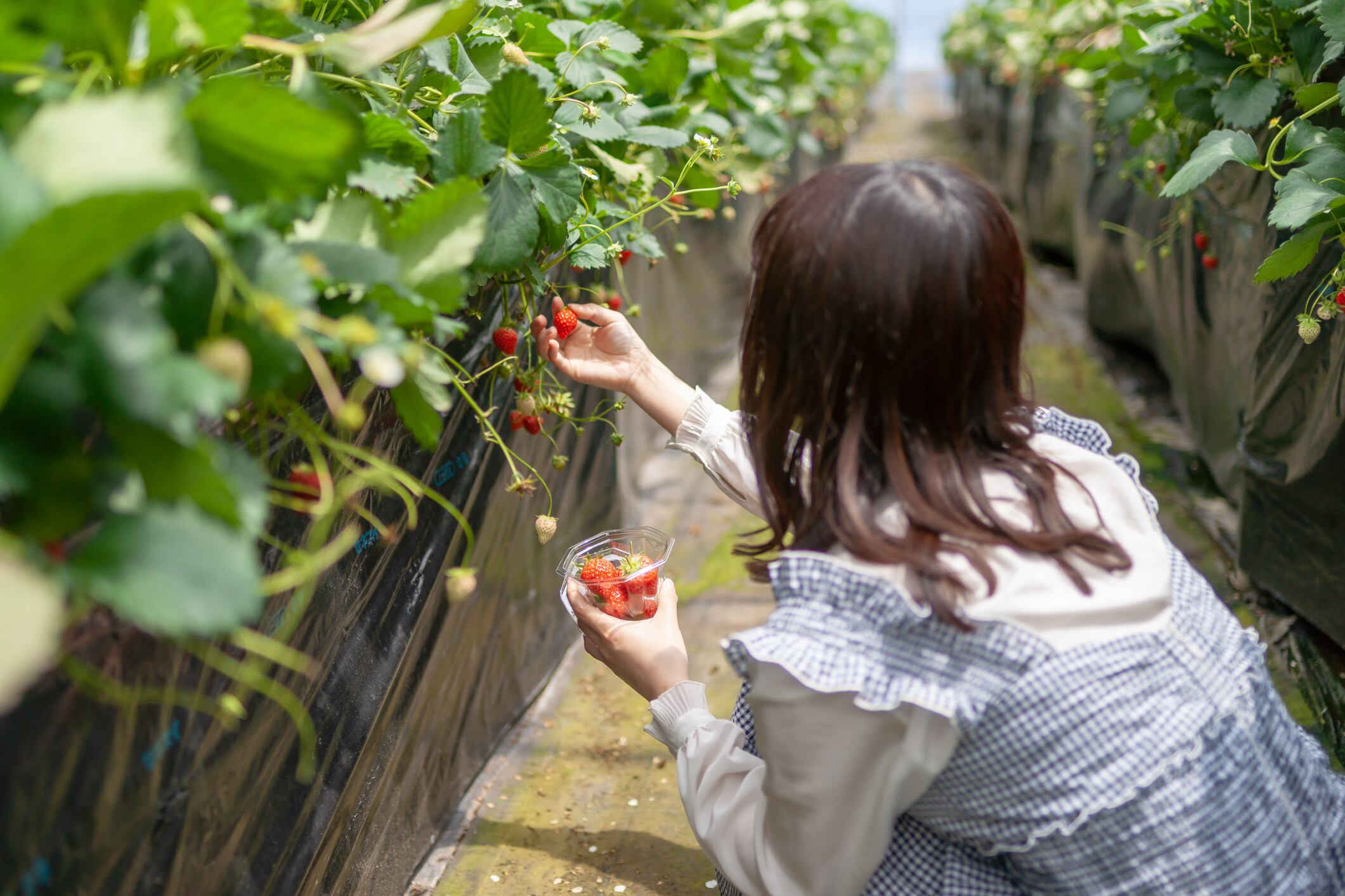 Foreign worker drive exposes risk of exploitation and organised crime, fears employment agency 