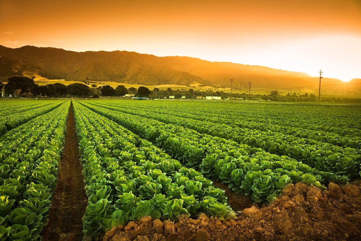 FDA-readies-for-Produce-Safety-Rule-for-US-farms-offers-compliance-resources.jpg