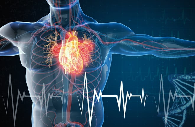Second look at big omega-3s trial finds no cardio benefits even for subjects with most EPA in blood