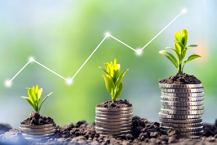 Higher food prices can lower poverty and spur production growth, research states