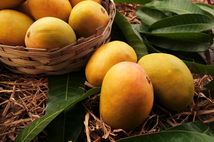 Coca-Cola-India-promotes-sustainable-mango-cultivation-in-alignment-with-government-initiative.jpg