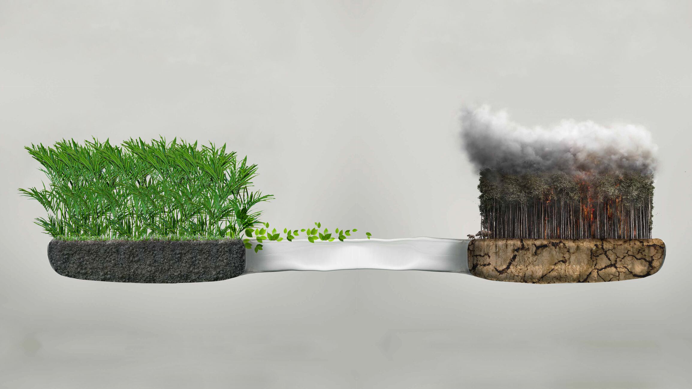 A high-quality conceptual image illustrating the stark contrast between a thriving ecosystem and environmental destruction within a toothbrush silhouette. Perfect for campaigns regarding sustainable living, climate change awareness, or eco-friendly product alternatives.