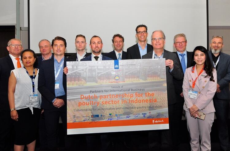 Dutch businesses create poultry group
