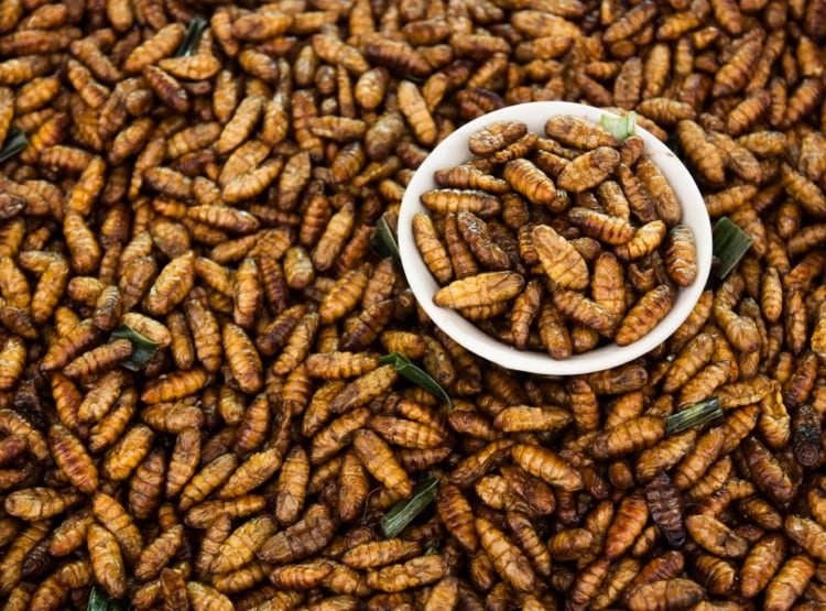 Taste and luxury ‘key’ to promoting insect-based foods, research finds 