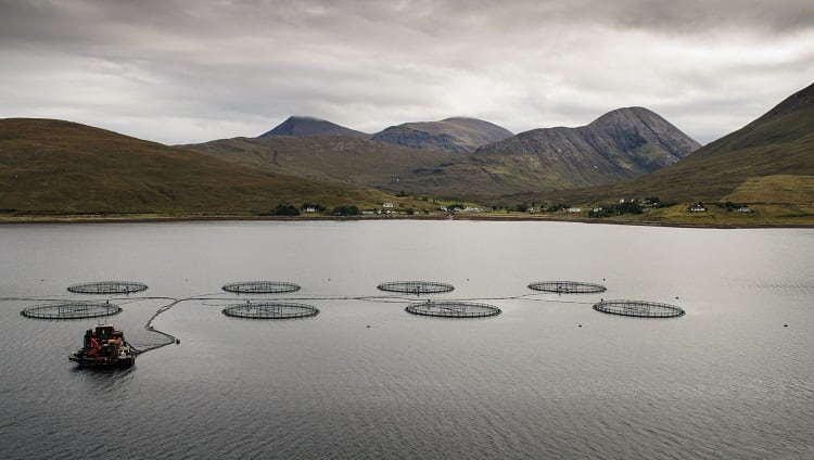 fisheries-JoeDunckley.jpg