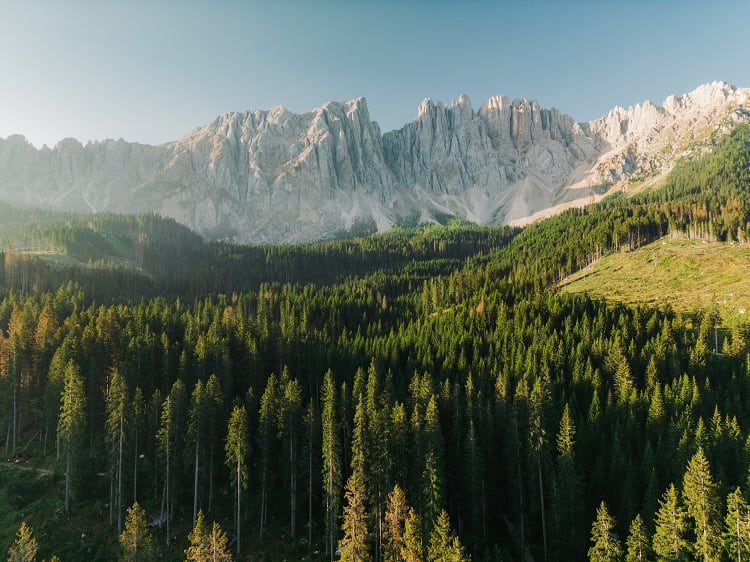 Is the EU’s Nature Restoration Law compatible with regenerative agriculture?