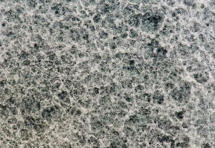 Will consumers accept mycelium?