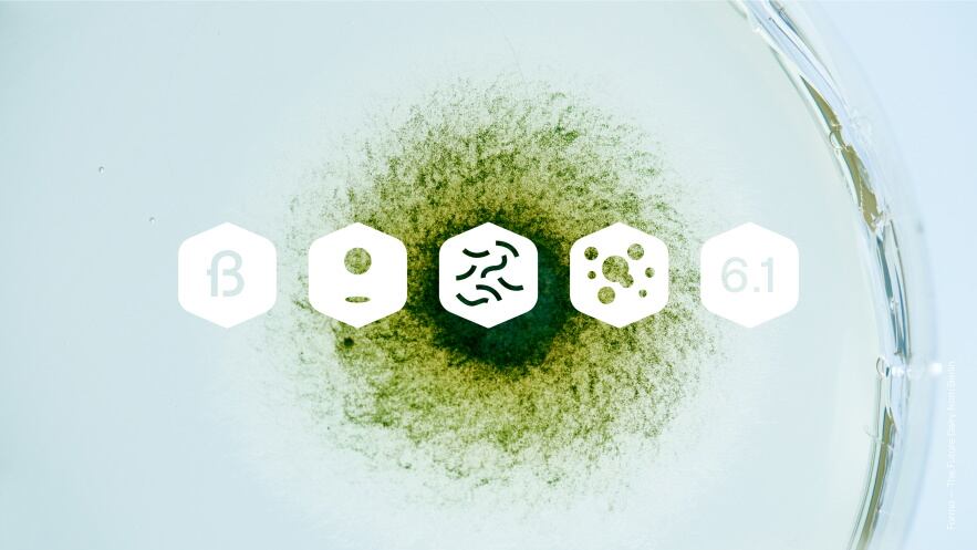 Formo-Tech-symbols.jpg