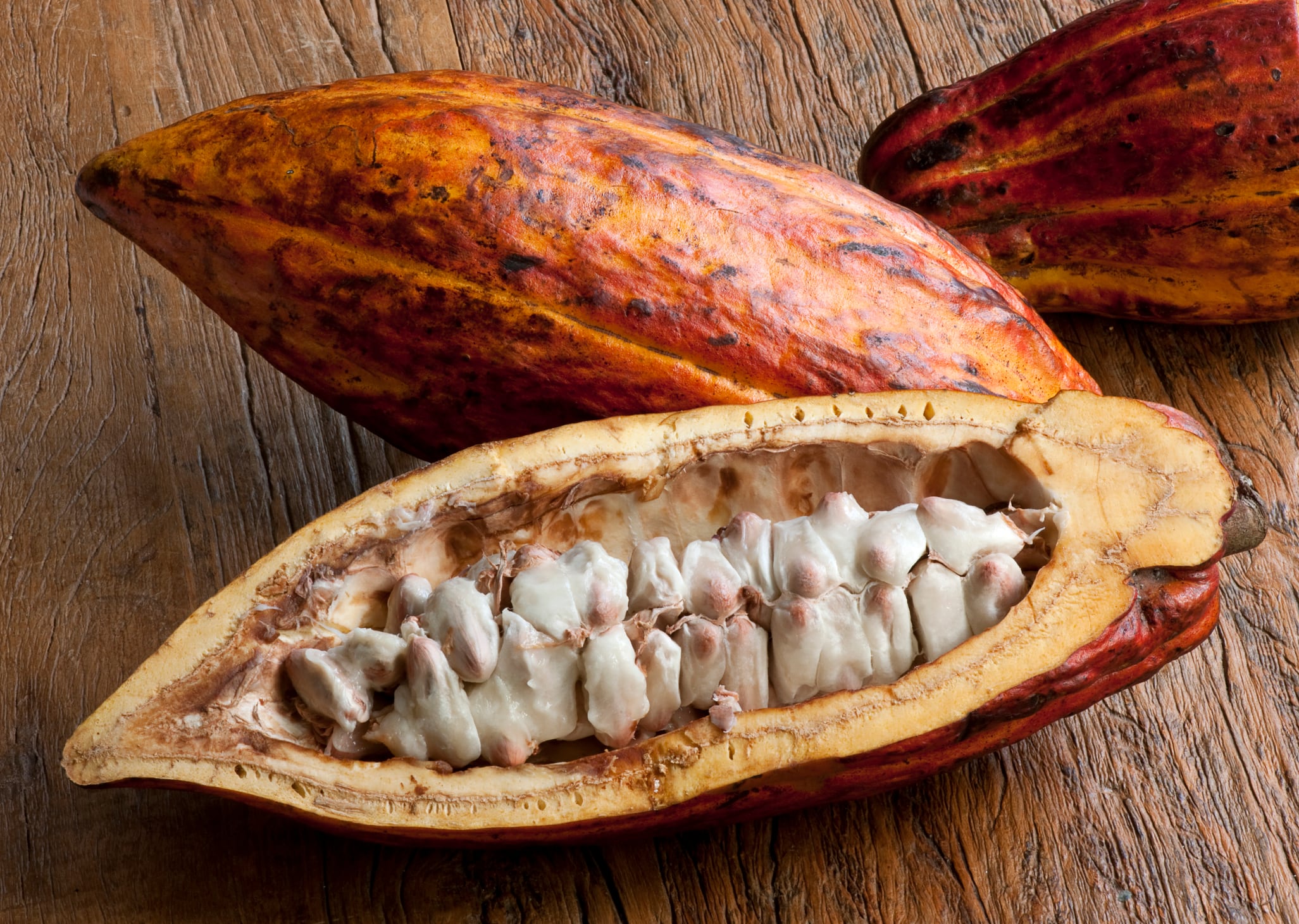 "Brazilian cocoa pods and beans, reddish-skinned cocoa fruit, tropical exotic fruit on a wooden background, cocoa plantations are located in south region of state of Bahia, Brazil."