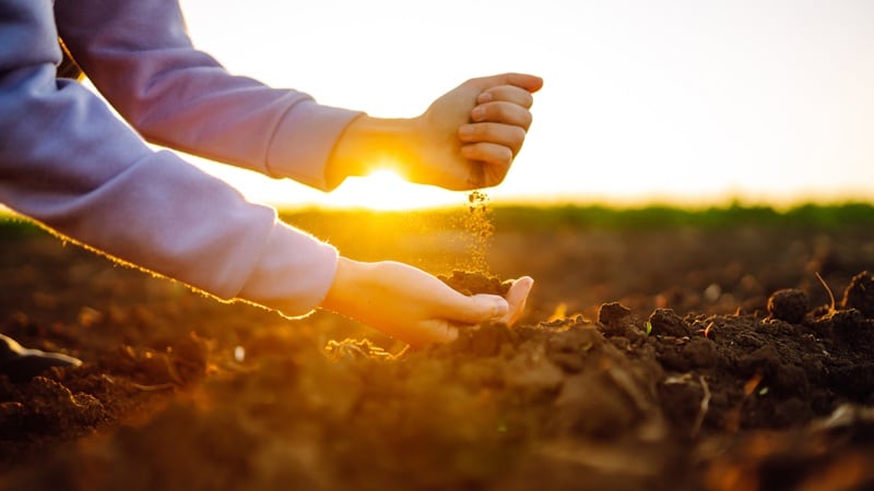 From soil tests to ways to store nutrient, Nutrien Ag is helping U.S. farmers prepare for next year's season.