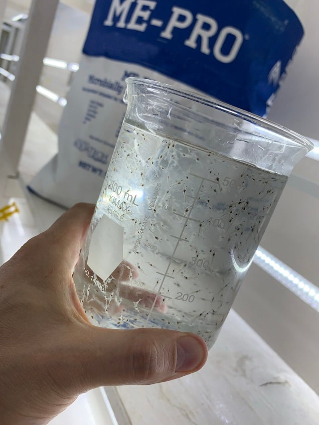 Houdek-ME-PRO-w-Shrimp-Larvae.jpg