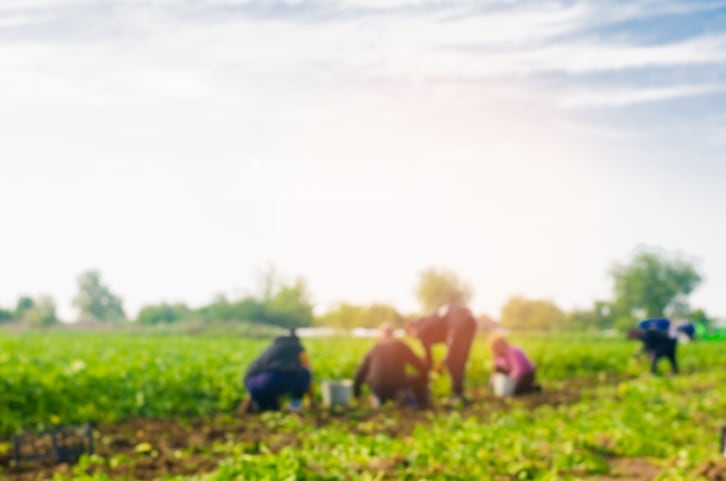 Tyson Foods leverages external partnerships to tackle ambitious sustainability, hunger relief goals