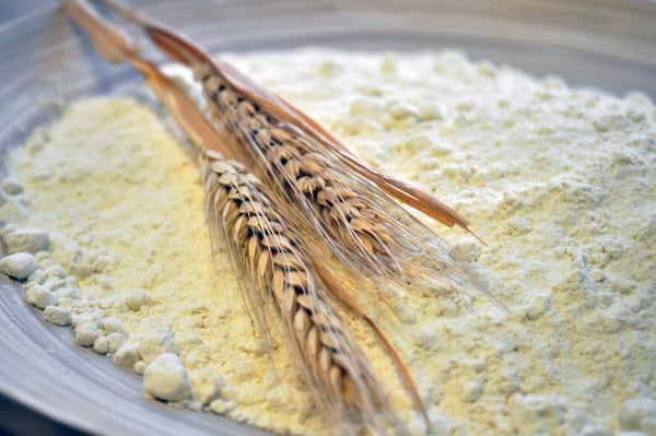 Flour-with-golden-colour-2.jpg