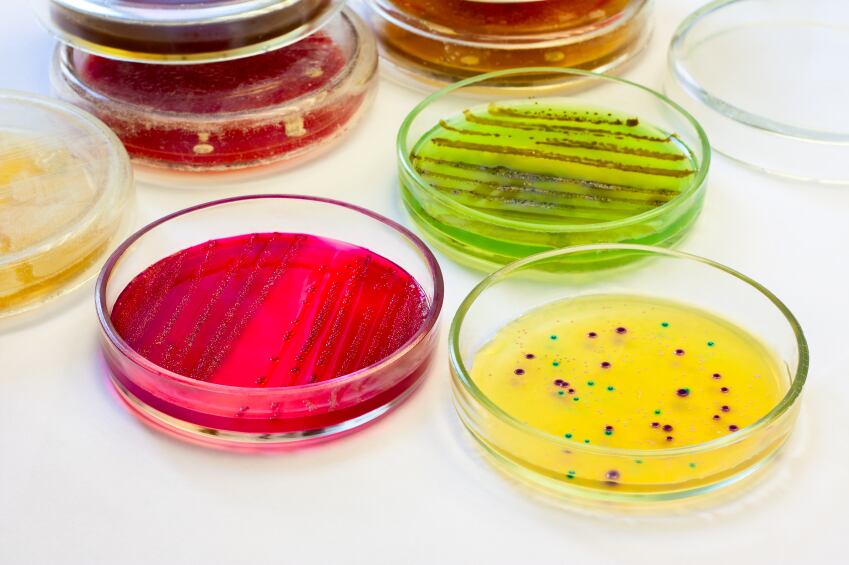 The strategic focus of enforcement is evolving but food safety remains a 'fundamental right'